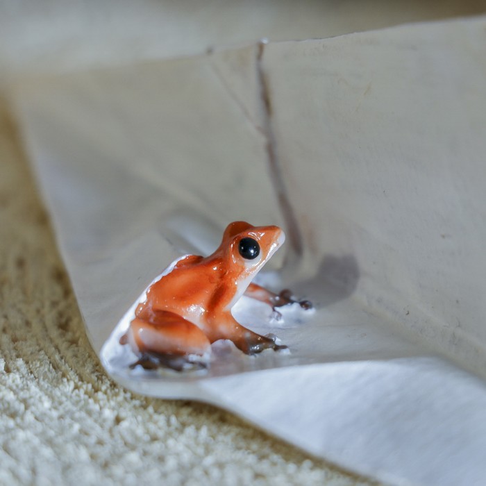 Сувенир полистоун "Бумажный самолетик с лягушкой" 13х7,5х4,5 см