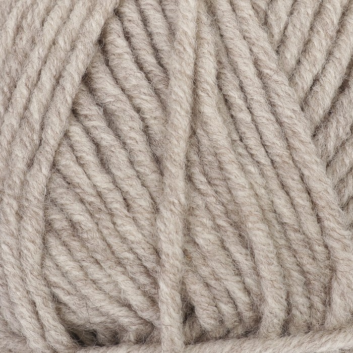 Пряжа "Lanagold plus" 49% шерсть, 51% акрил 140м/100гр (152 бежев. меланж)