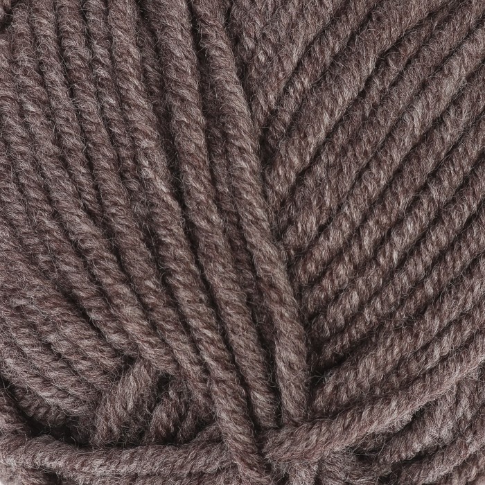 Пряжа "Lanagold plus" 49% шерсть, 51% акрил 140м/100гр (240 коричневый)