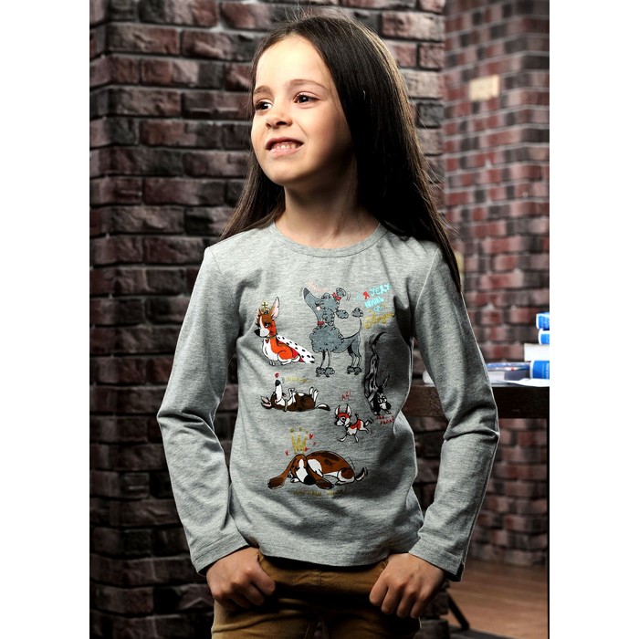 Джемпер для девочки, рост 104 см, цвет серый