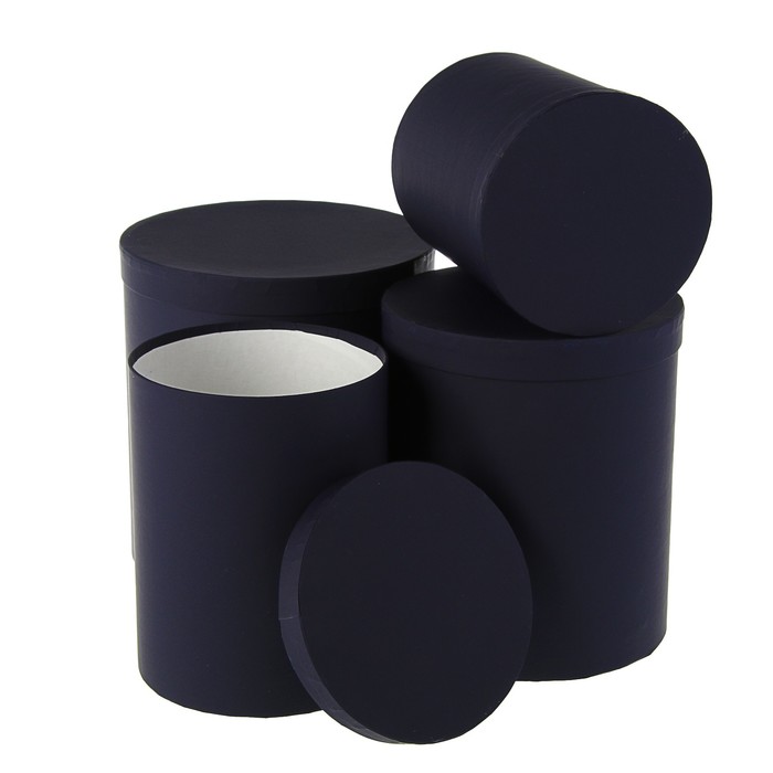 Набор круглых коробок 4в1 "Синяя кожа", 23 х 23 х 25 - 15 х 15 х 20 см
