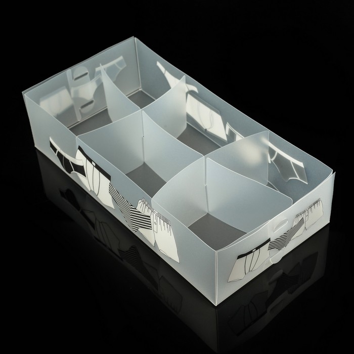 Короб для хранения 30,5х16х8 см, 6 ячеек, Мужское белье