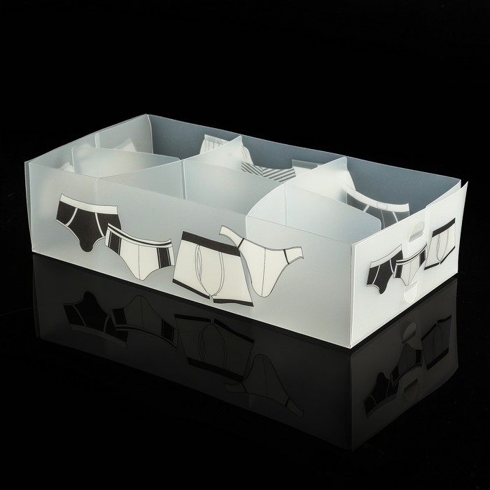 Короб для хранения 30,5х16х8 см, 6 ячеек, Мужское белье
