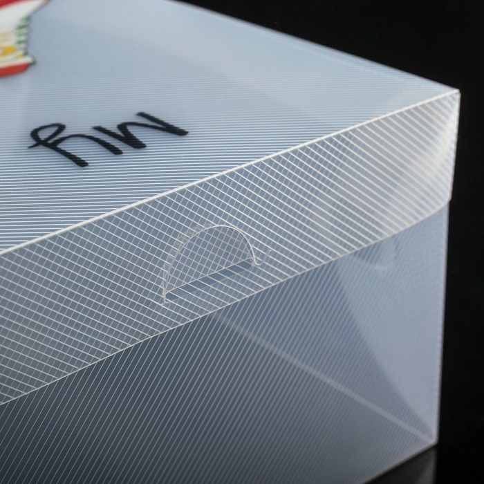 Бокс для хранения обуви с ручкой 31х18х10см Кросовки