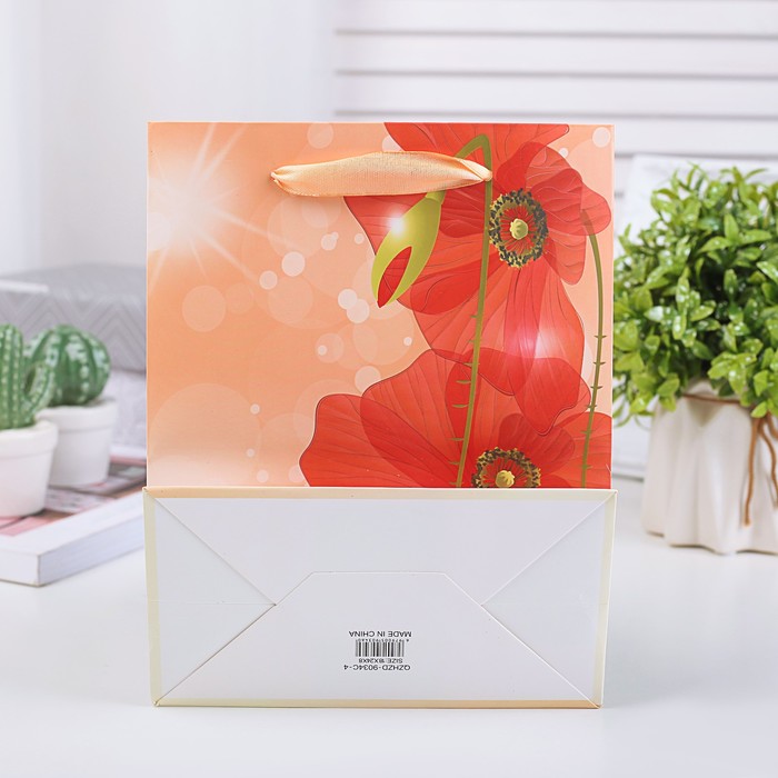 Пакет подарочный люкс, 18 х 24 х 8 см