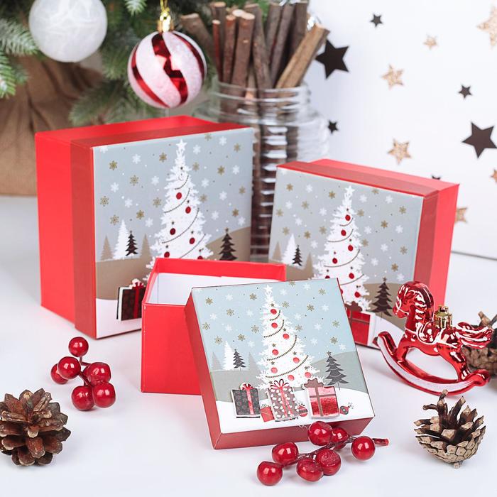 Набор коробок 3в1, 13 х 13 х 8 - 9 х 9 х 6 см