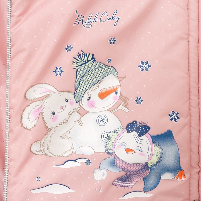 Комплект (Куртка + Полукомбинезон), рост 104 см, цвет розовый