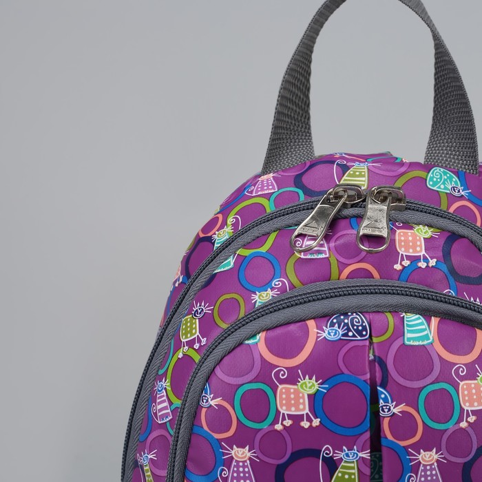 Рюкзак "Круги", 2 отдела на молнии, наружный карман, цвет фиолетовый