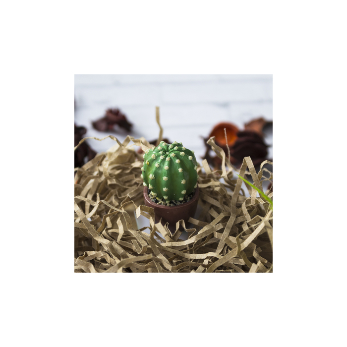 Силиконовый молд "Кактус в горшке мини" 994