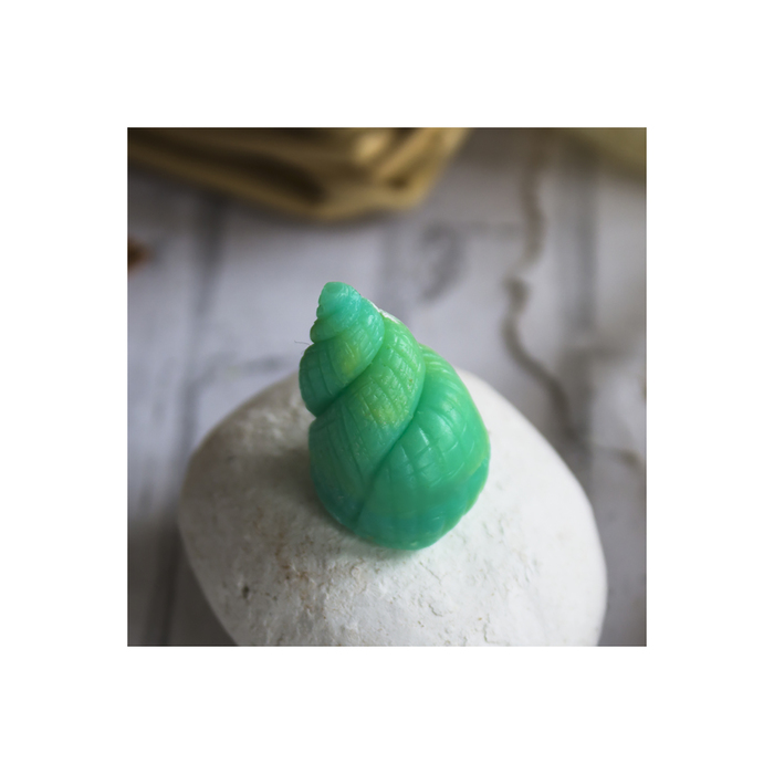 Силиконовый молд "Ракушка коническая" 1005