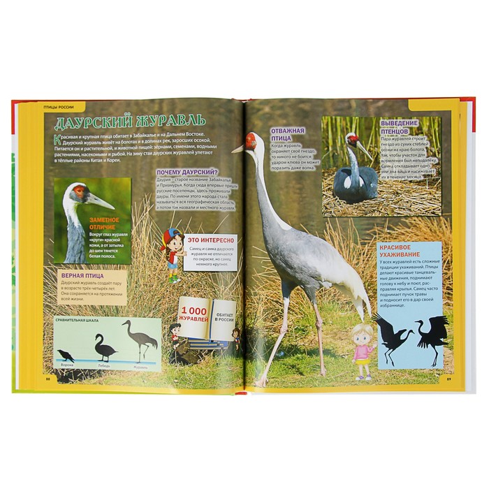 Звери и птицы России. Энциклопедия для детей. обл мел бум