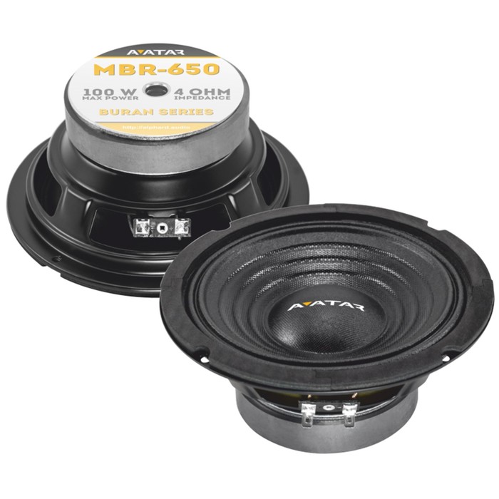 Акустическая система Avatar MBR-650, 16.5 см, 100 Вт, набор 2 шт