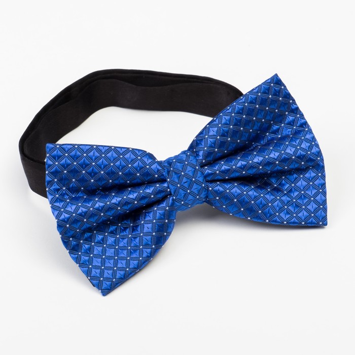 Набор мужской KAFTAN подтяжки и бабочка, голубой, р-р универс, п/э