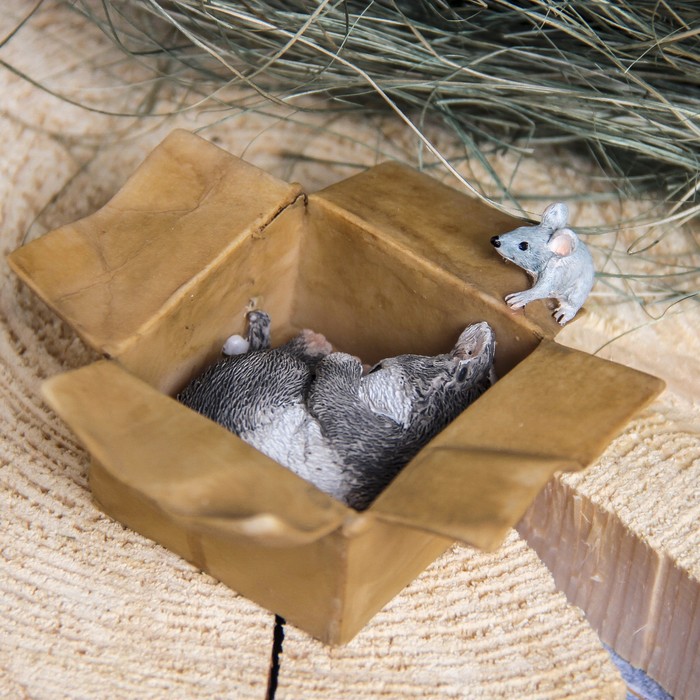 Сувенир полистоун "Котенок все проспал" 10х10х5 см