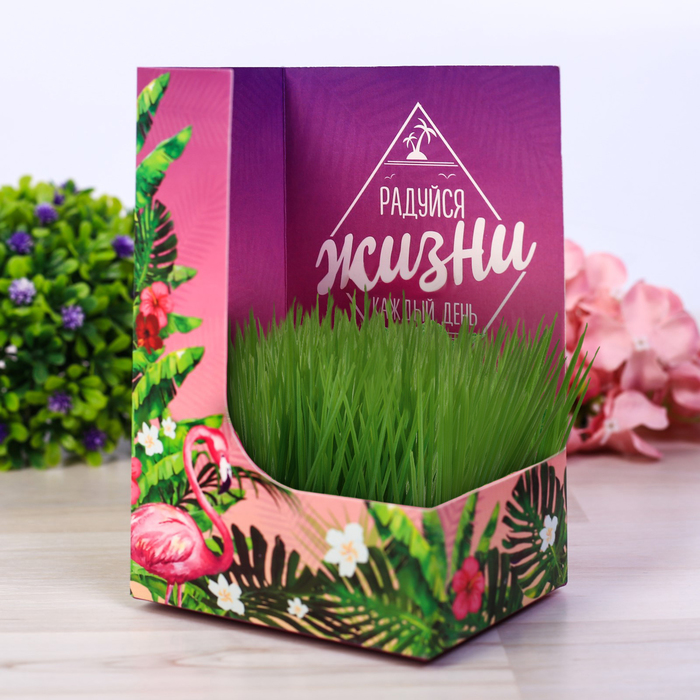 Открытка с прорастайкой "Радуйся жизни", мята