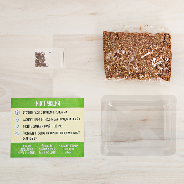 Открытка с прорастайкой "Радуйся жизни", мята