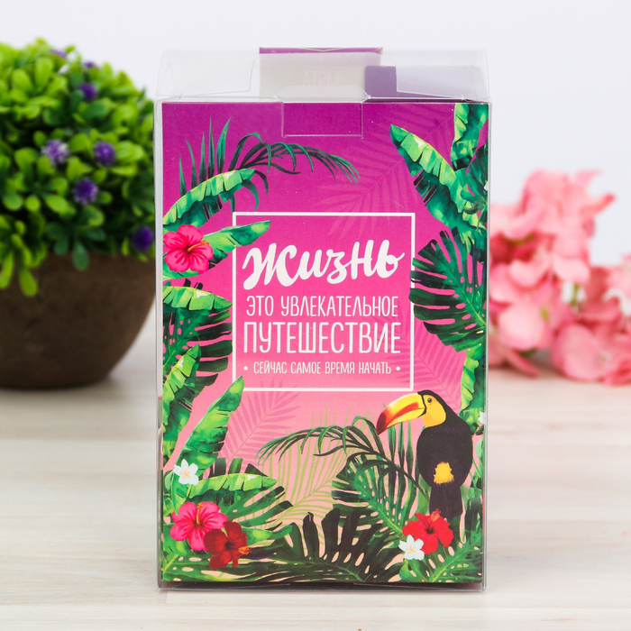 Открытка с прорастайкой "Радуйся жизни", мята