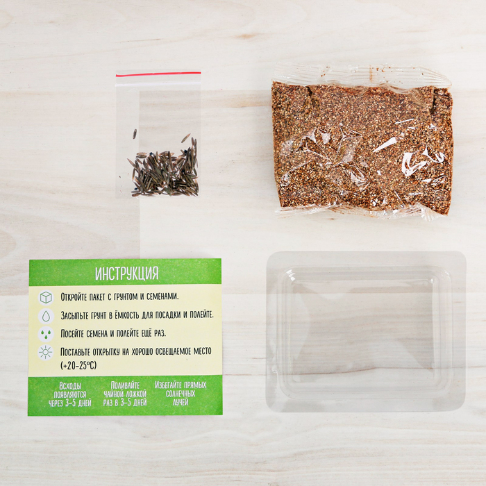 Открытка с прорастайкой "Расцветай от счастья", анютины глазки