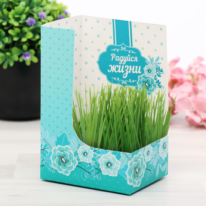 Открытка с прорастайкой "Каждый день - это маленькая жизнь", васильки