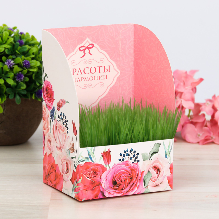 Открытка с прорастайкой "Красоты и гармонии", незабудки