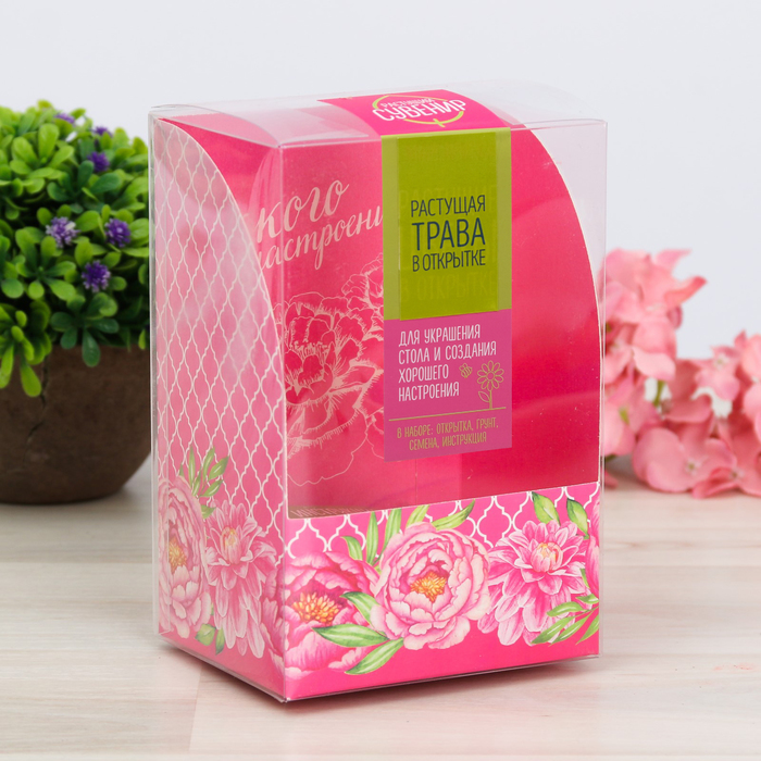 Открытка с прорастайкой "Яркого настроения", маргаритки