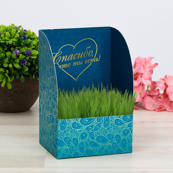 Открытка с прорастайкой "Спасибо, что ты есть", настурция