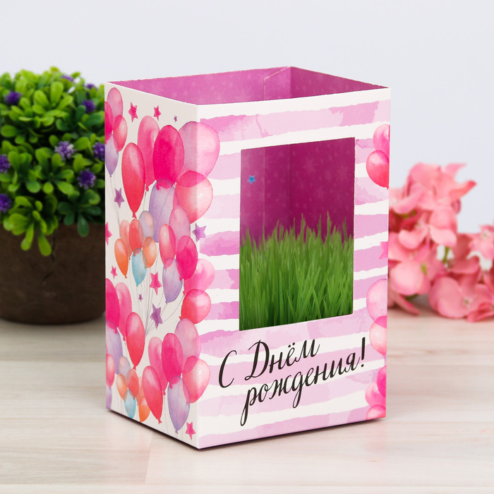 Открытка с прорастайкой "С Днём рождения", лаванда