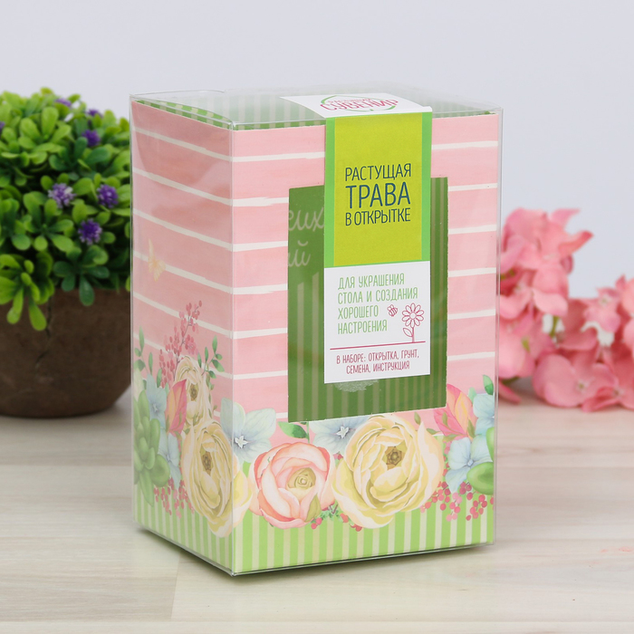 Открытка с прорастайкой "Ярких эмоций", ромашки