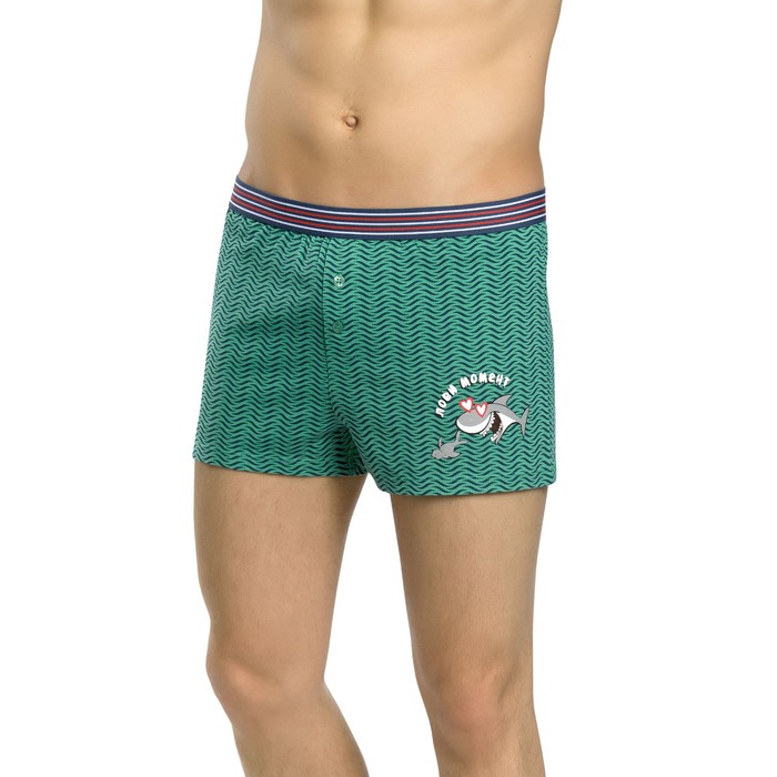 Трусы мужские, размер 3XL, цвет зелёный