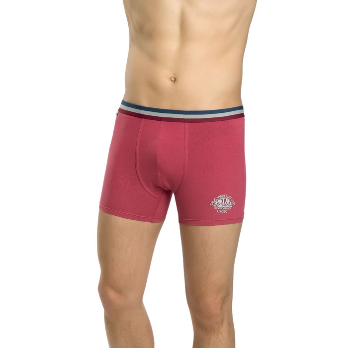 Трусы мужские, размер XL, цвет бордовый