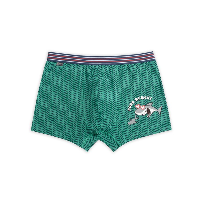 Трусы мужские, размер L, цвет зелёный