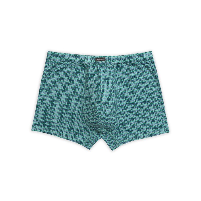 Трусы мужские, размер L, цвет зелёный