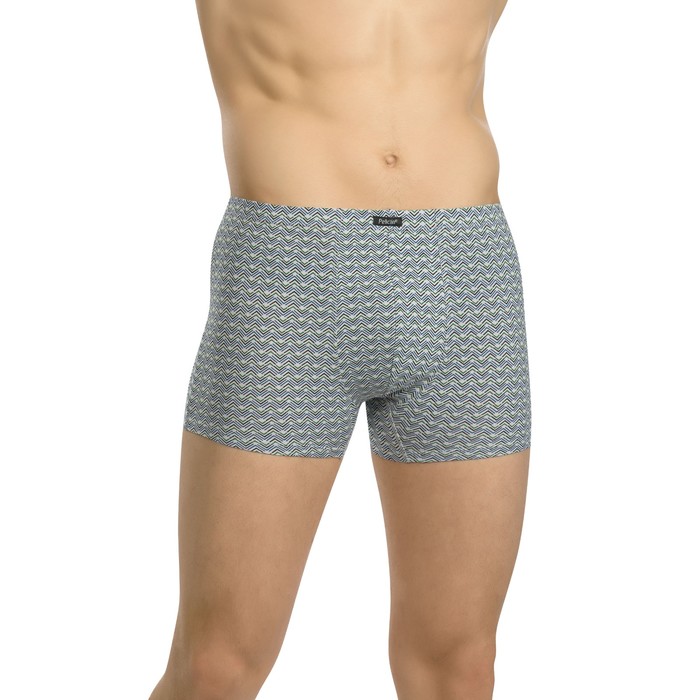 Трусы мужские, размер L, цвет серый