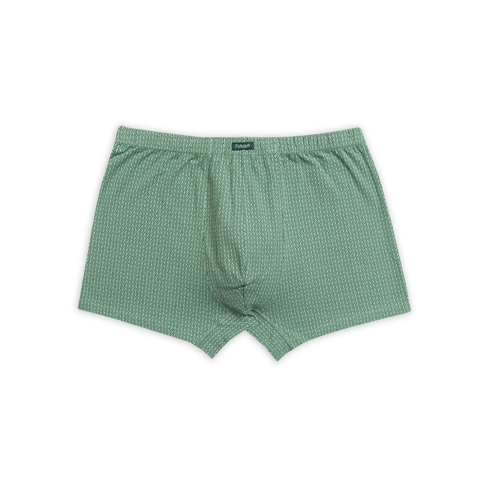 Трусы мужские, размер L, цвет зелёный