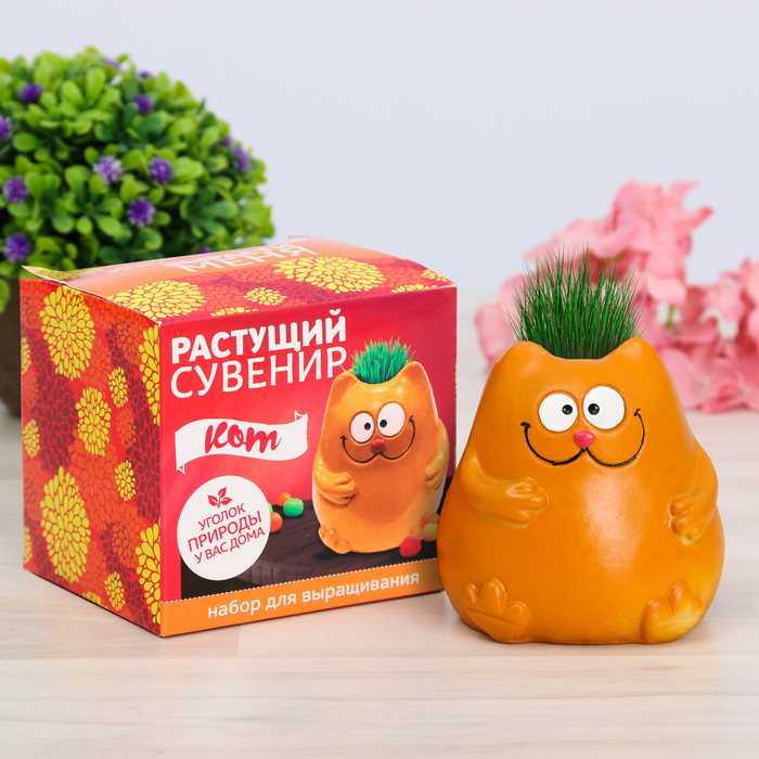 Растущий сувенир в горшочке "Кот"