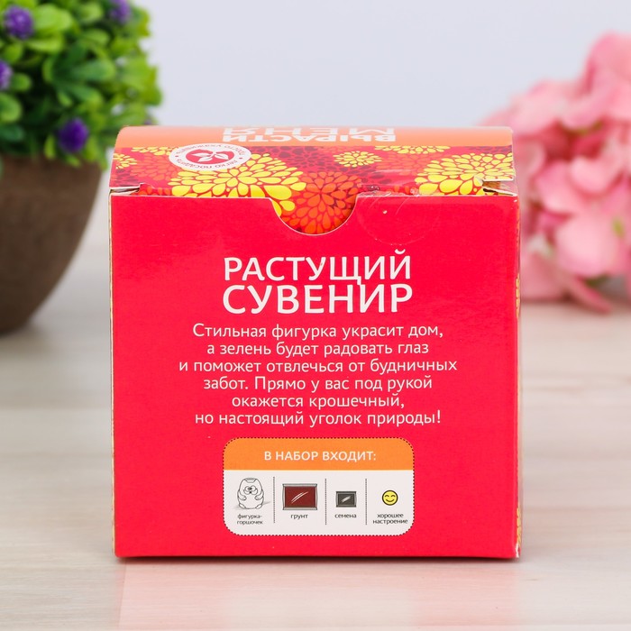 Растущий сувенир в горшочке "Кот"