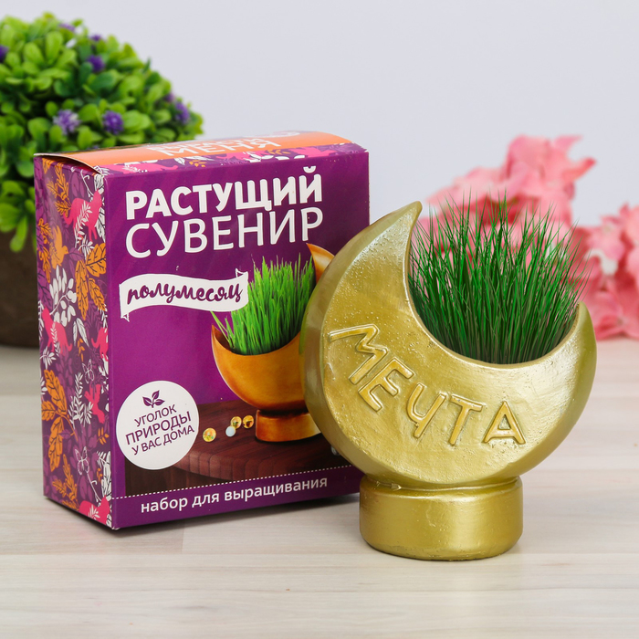 Растущий сувенир в горшочке "Полумесяц"