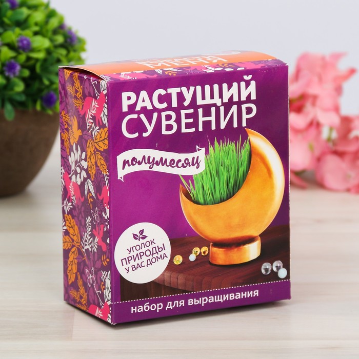 Растущий сувенир в горшочке "Полумесяц"