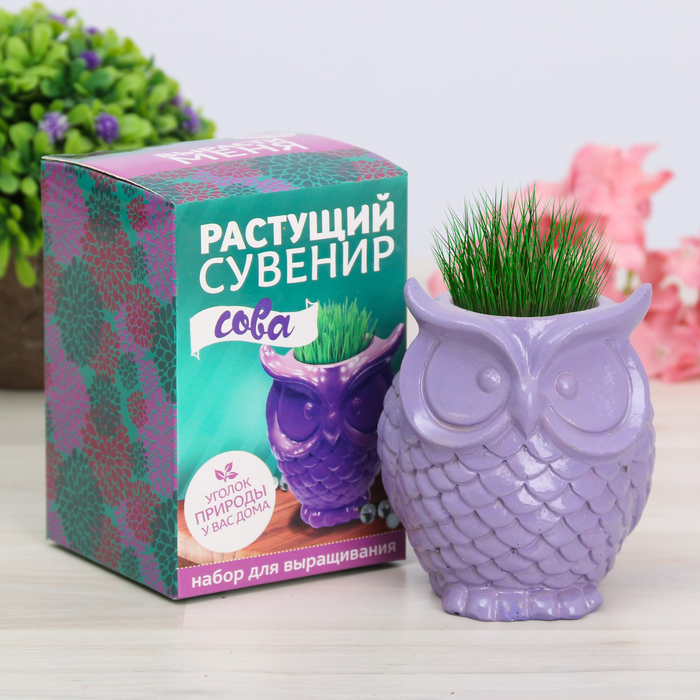 Растущий сувенир в горшочке "Сова"