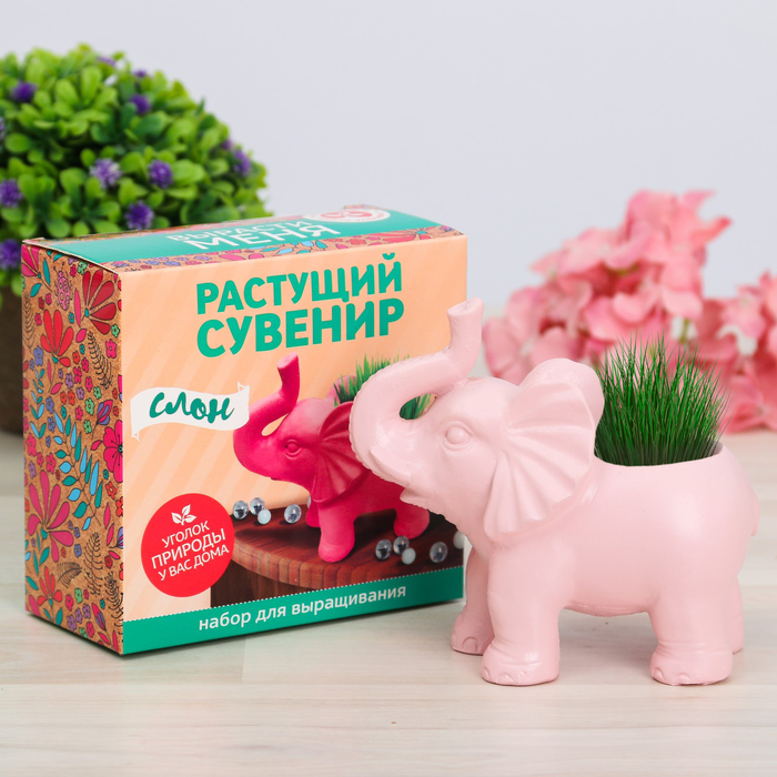 Растущий сувенир в горшочке "Слон"