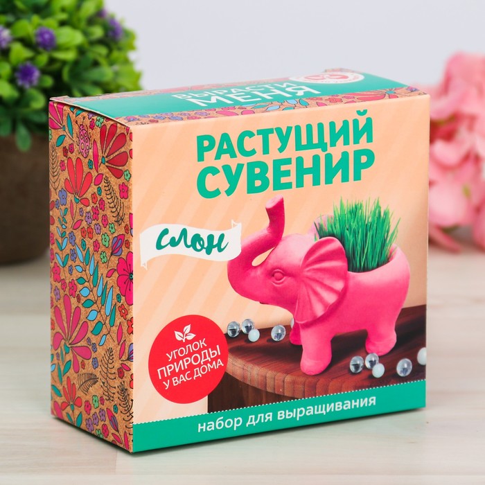Растущий сувенир в горшочке "Слон"