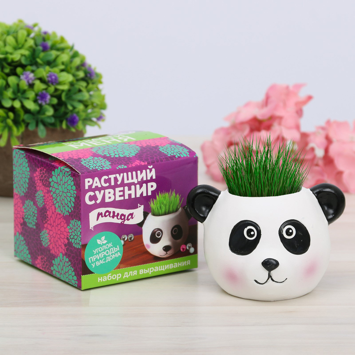 Растущий сувенир в горшочке "Панда"