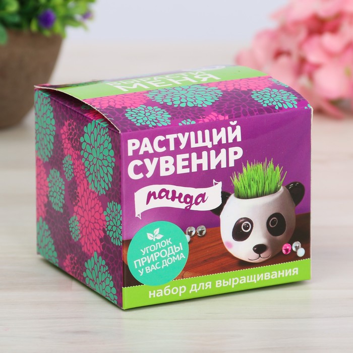 Растущий сувенир в горшочке "Панда"