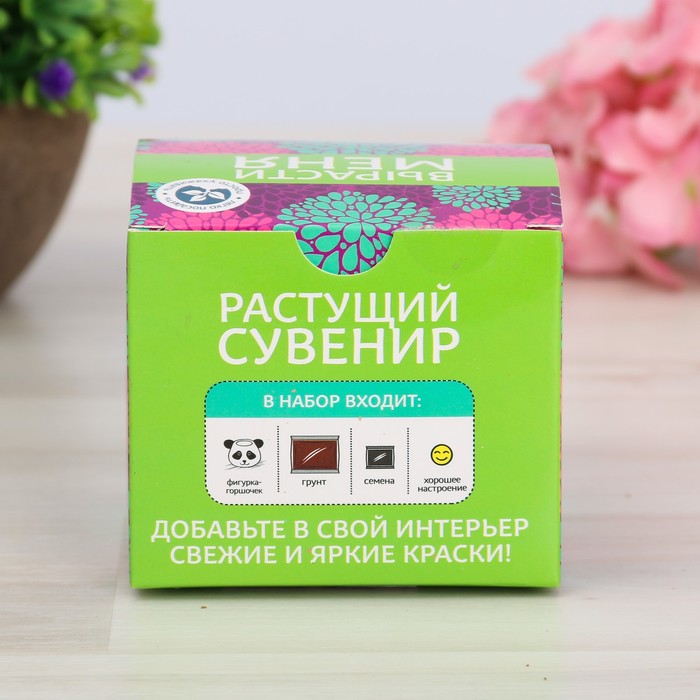 Растущий сувенир в горшочке "Панда"