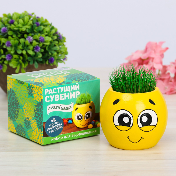 Растущий сувенир в горшочке "Смайлик"
