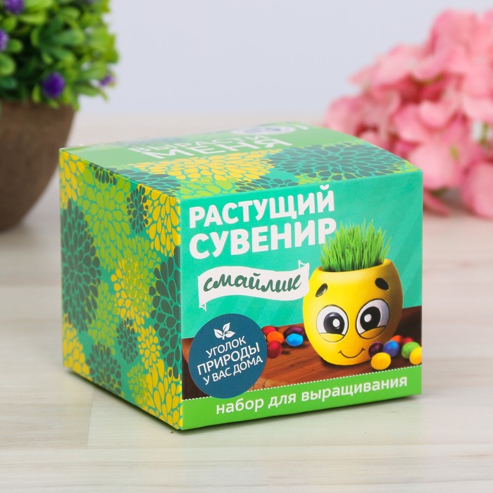 Растущий сувенир в горшочке "Смайлик"