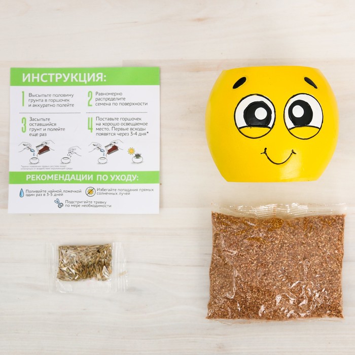 Растущий сувенир в горшочке "Смайлик"