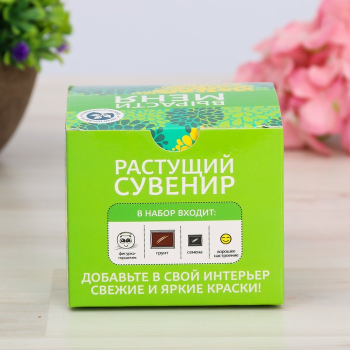 Растущий сувенир в горшочке "Смайлик"