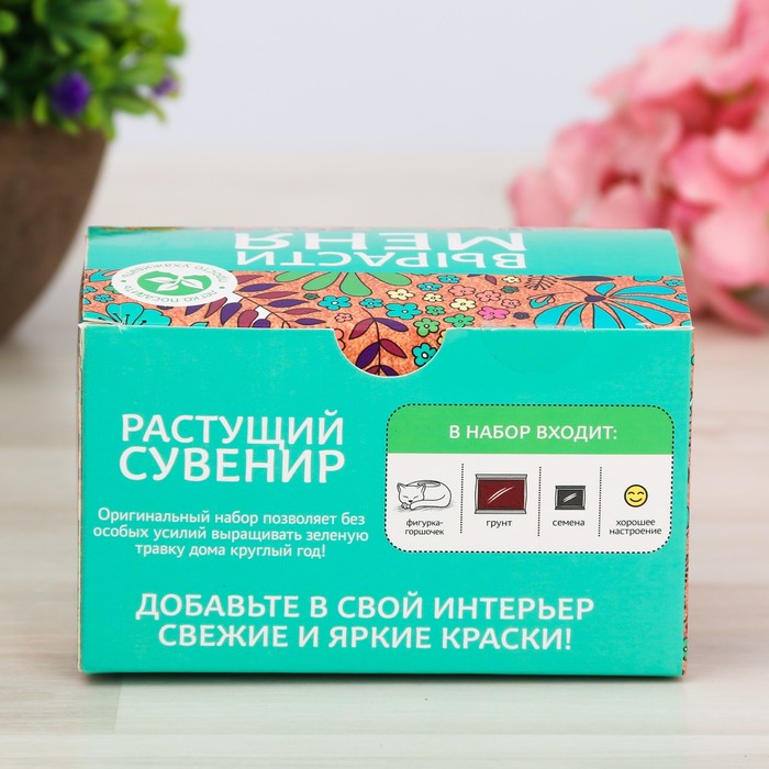 Растущий сувенир в горшочке "Кошка"