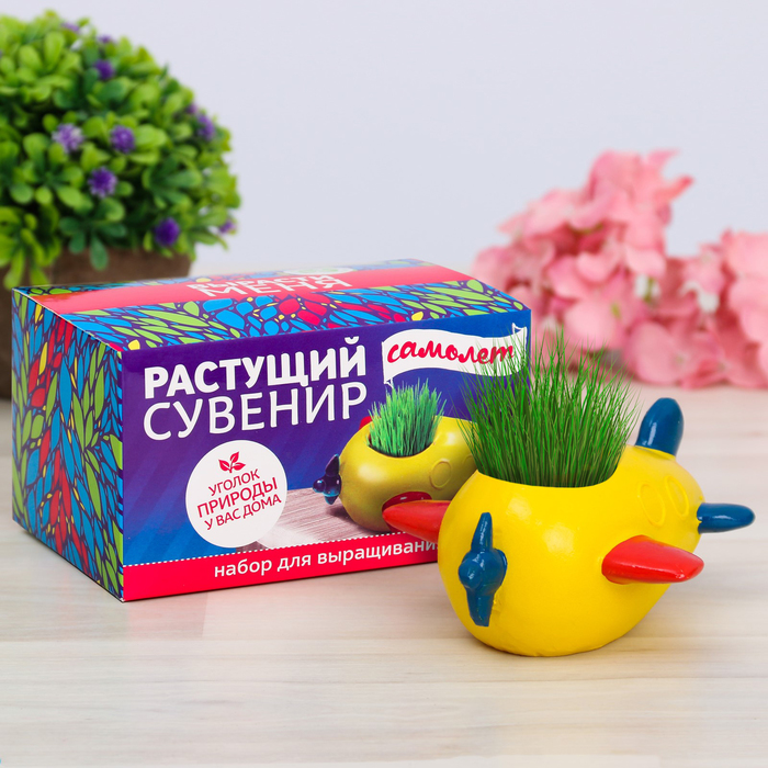 Растущий сувенир в горшочке "Самолет"